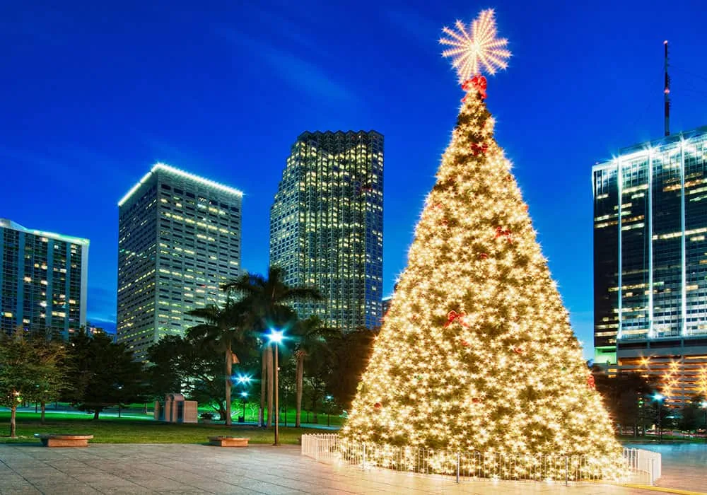 COMMERCIAL CHRISTMAS TREE LIGHT INSTALLATION