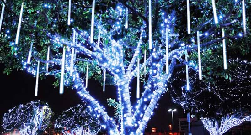 Amazing Beautiful Chrismtas Lights on Tree