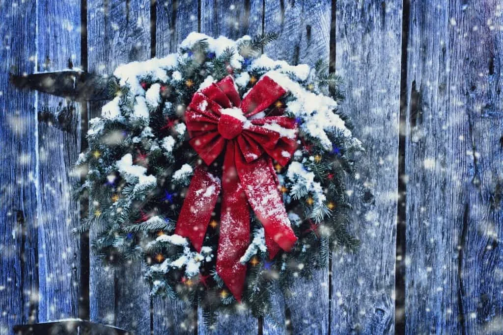 THE PERFECT WINTER SEASONAL BUSINESS