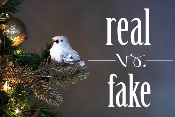 Real Vs Fake Christmas Tree