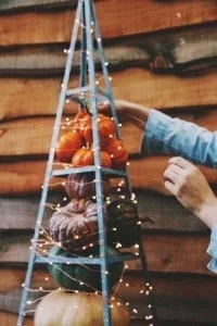 Christmas Lights for Halloween Tree