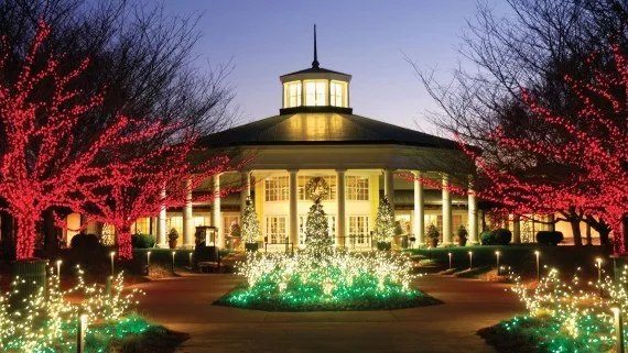  commercial Christmas light installation