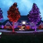 Halloween Lights