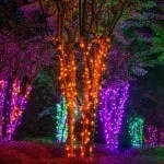Halloween Christmas Lights