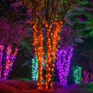 Halloween Christmas Lights