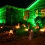Halloween Lights Green