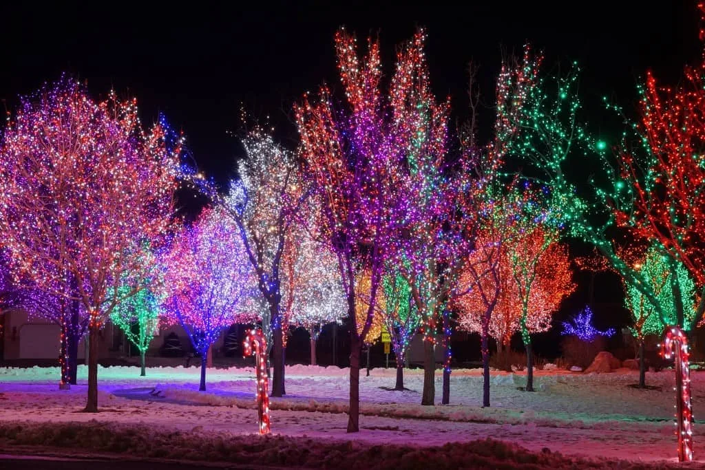 Colorful Christmas Lights