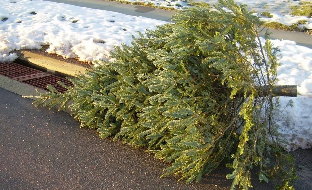 Tips for Taking Down Christmas Tree