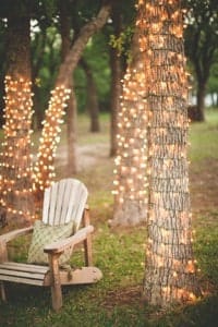 Twinkle Lights wrapped on Tree