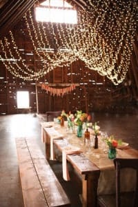 Amazing Party Lights