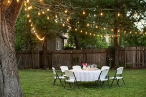 Dinner Party Lights
