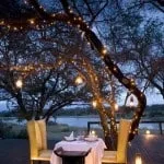 Romantic Creative Outdoor Lighting Romantic Creative Outdoor Lighting