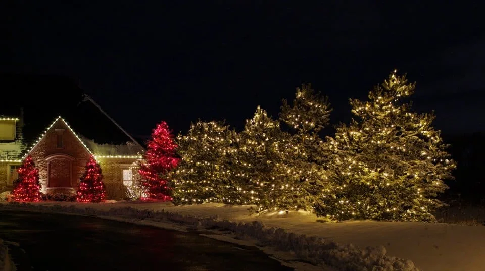 A Christmas light business can be a very profitable business indeed, and even an enjoyable one. We Hang Christmas Lights has been in the Christmas light business since 1996 and has seen the industry grow exponentially!