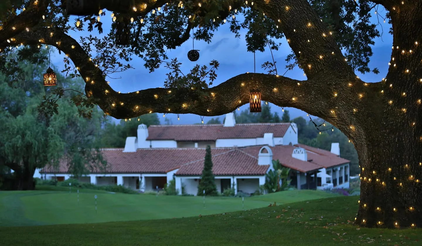 CHRISTMAS LIGHT INSTALLATION FOR RESTAURANTS