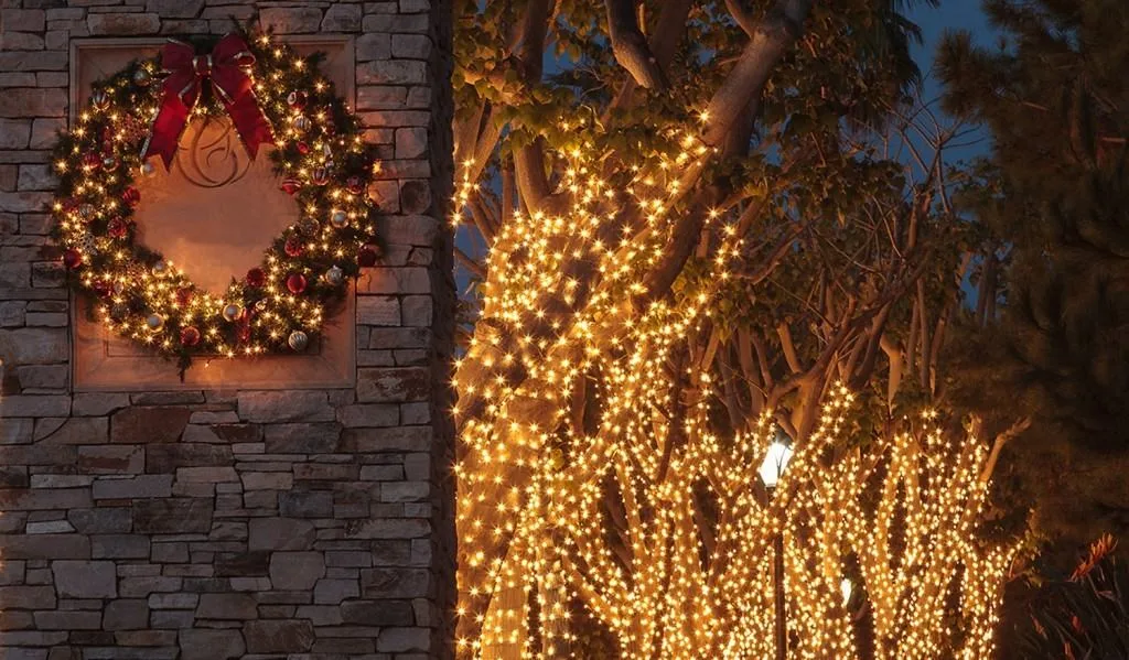 Christmas Light Installation
