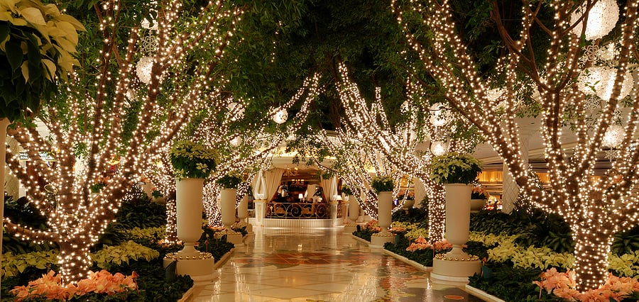 CHRISTMAS LIGHT INSTALLATIONS FOR BEAUTY SALONS & SPAS