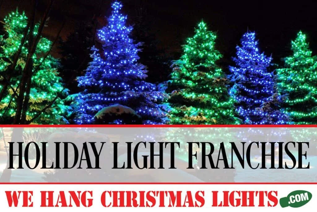 HOLIDAY-LIGHT-FRANCHISE