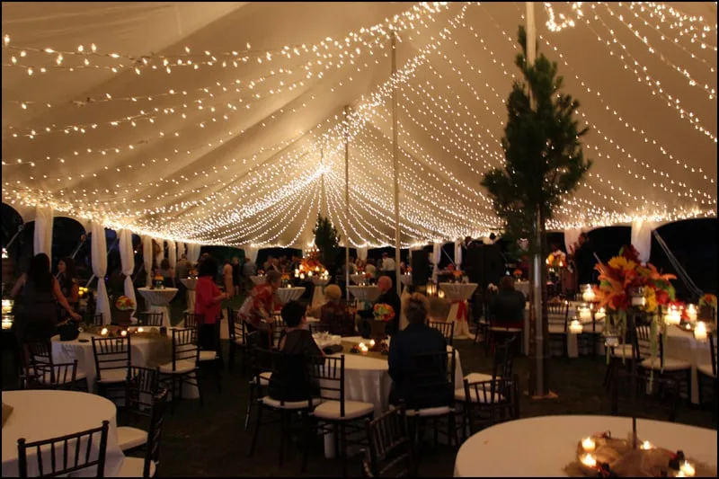 Popular Outdoor Wedding Curtain Lighting