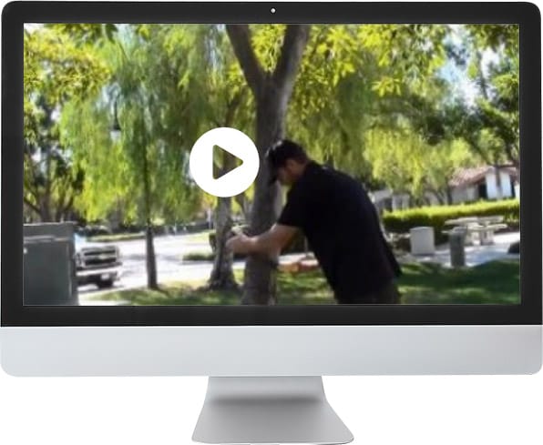 We Hang Christmas Lights Training Series