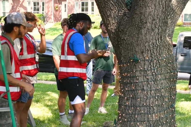 Christmas light installers in safety vests learning tree wrapping techniques during training