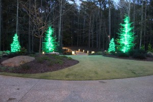 Company to install Christmas lights on Tree                                                  