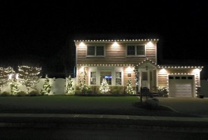 Company to install Christmas lights                                                  