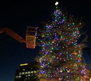 Commercial Christmas Tree Installation      