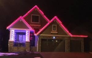 Pink Christmas Lights                                                 
