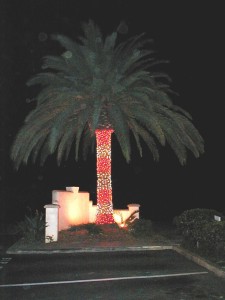 Candy Cane Christmas Tree                                                            